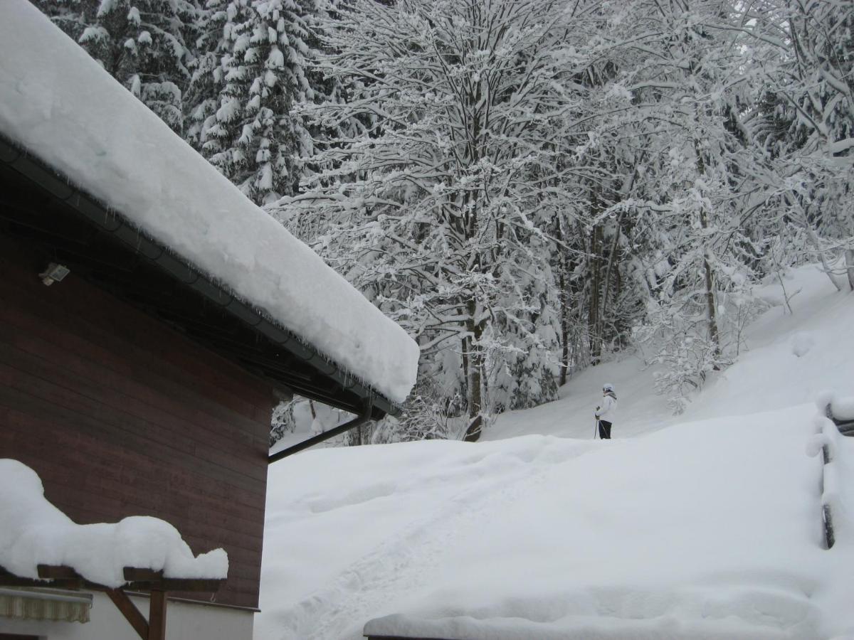 Ski-In Ski-Out Chalet Kriekels - By Alpen Apartments ツェル アム ゼー エクステリア 写真