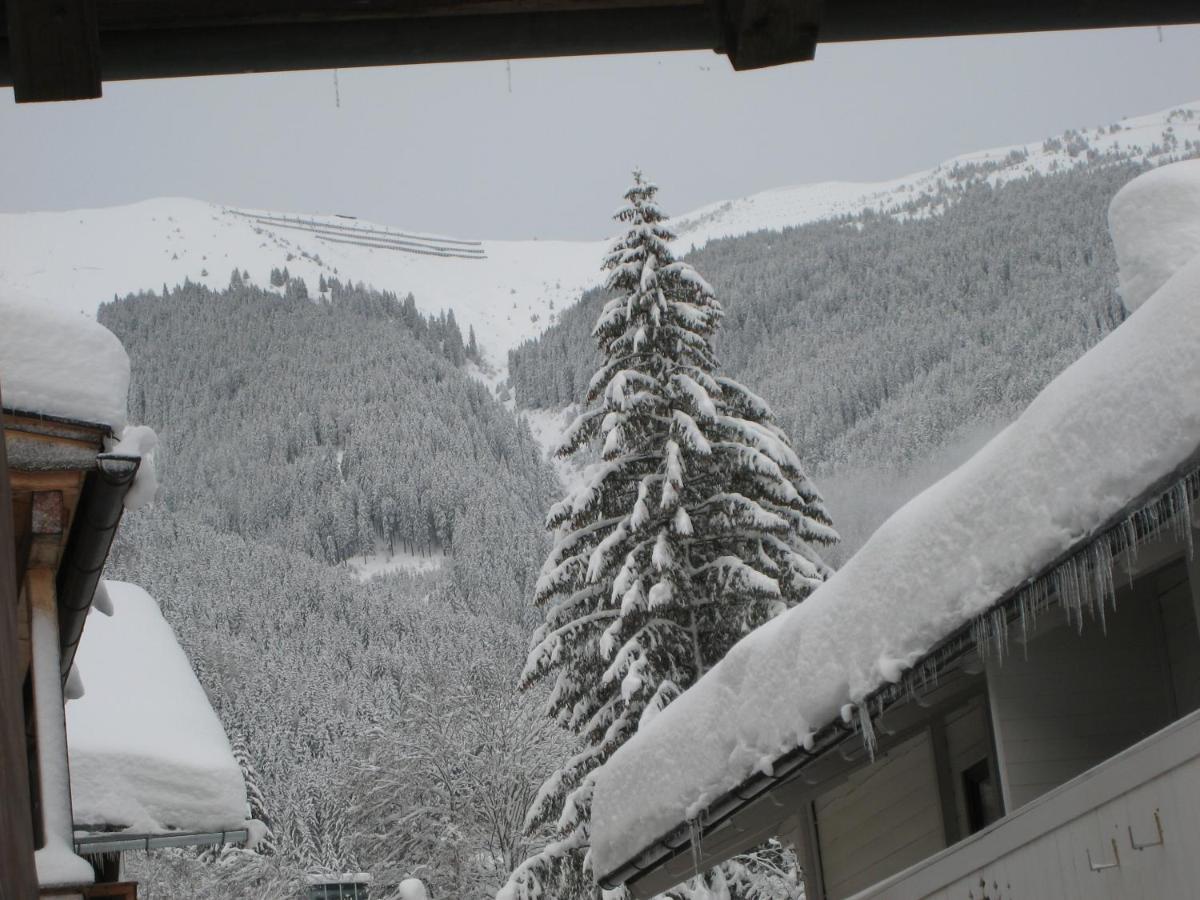 Ski-In Ski-Out Chalet Kriekels - By Alpen Apartments ツェル アム ゼー エクステリア 写真